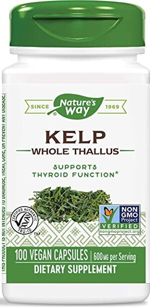 Kelp Whole Thallus for Thyroid Functions